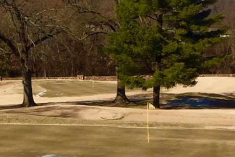18 green thawing out.
